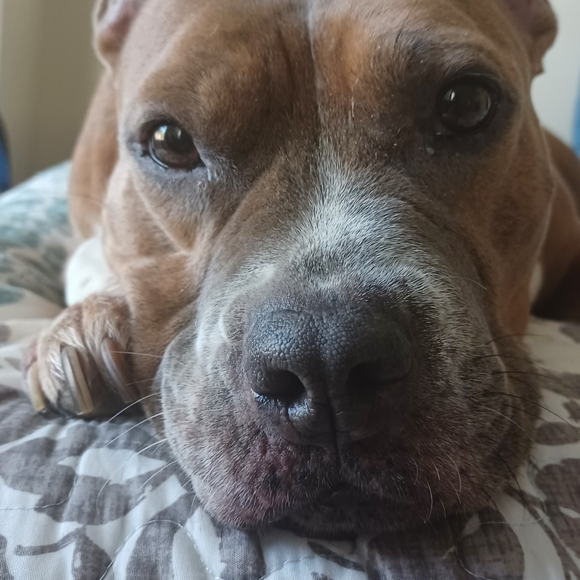 my live show flyer - Picture 6 of 8